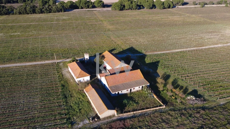 Terreno para Venda em Poceirão e Marateca Foto 6