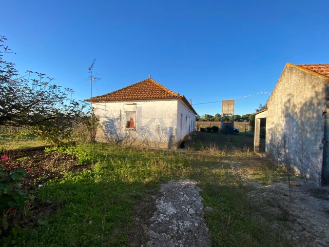 Terreno para Venda em Poceirão e Marateca Foto 3