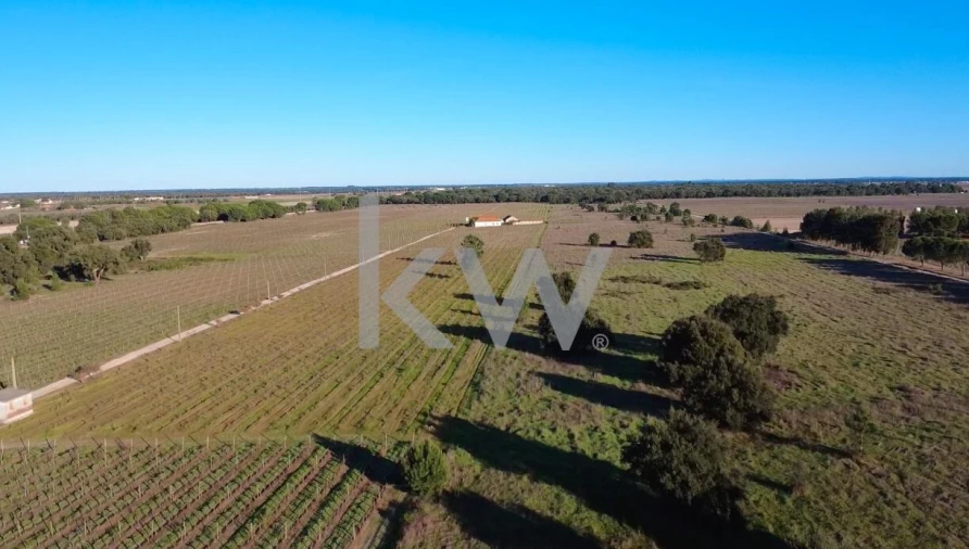 Terreno para Venda em Poceirão e Marateca Foto 13