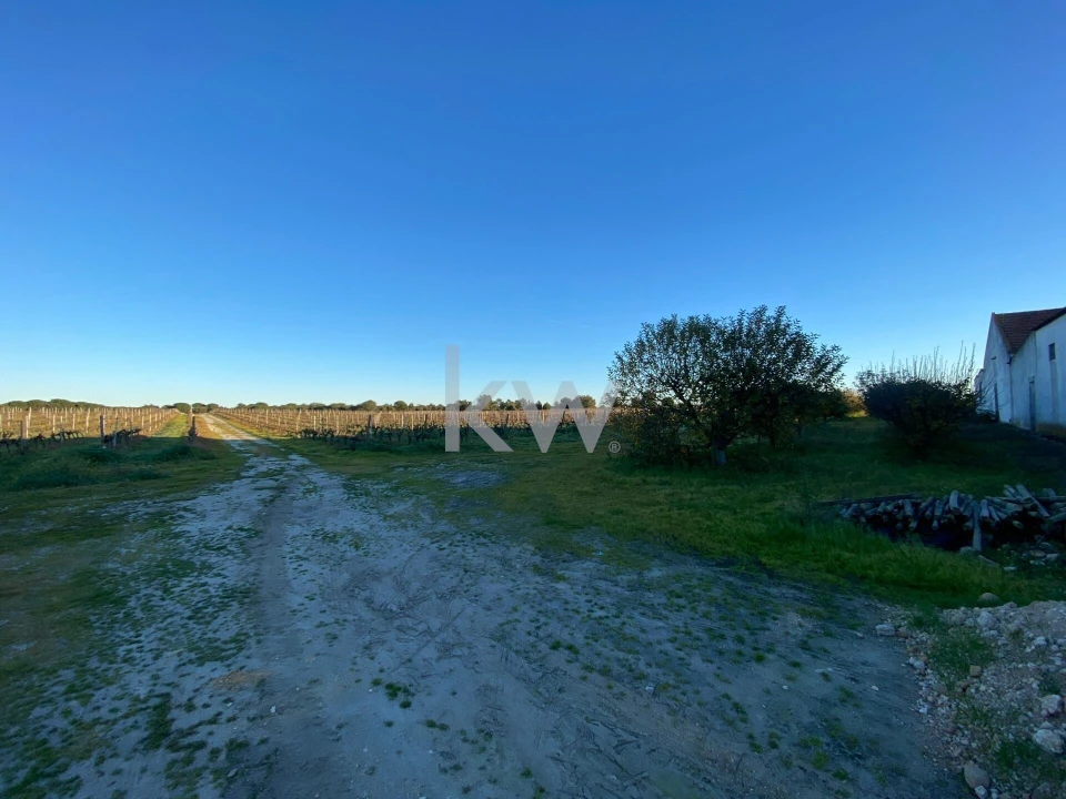 Terreno para Venda em Poceirão e Marateca Foto 16