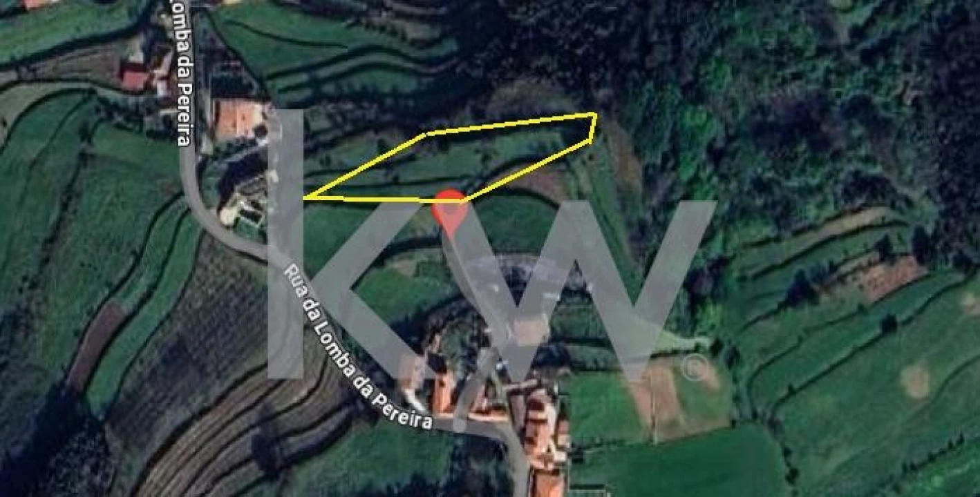 Terreno para Venda em São Miguel do Mato Foto 11