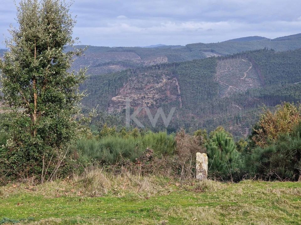 Terreno para Venda em São Miguel do Mato Foto 4