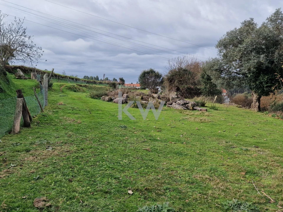 Terreno para Venda em São Miguel do Mato Foto 1