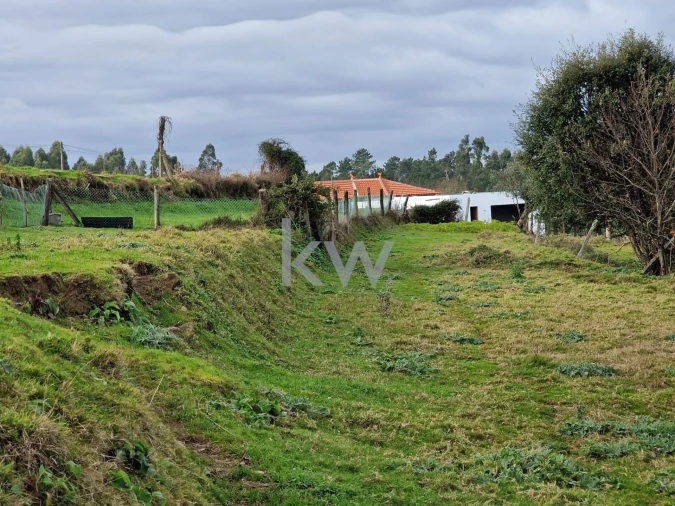 Terreno para Venda em São Miguel do Mato Foto 3