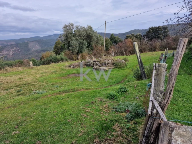 Terreno para Venda em São Miguel do Mato Foto 6