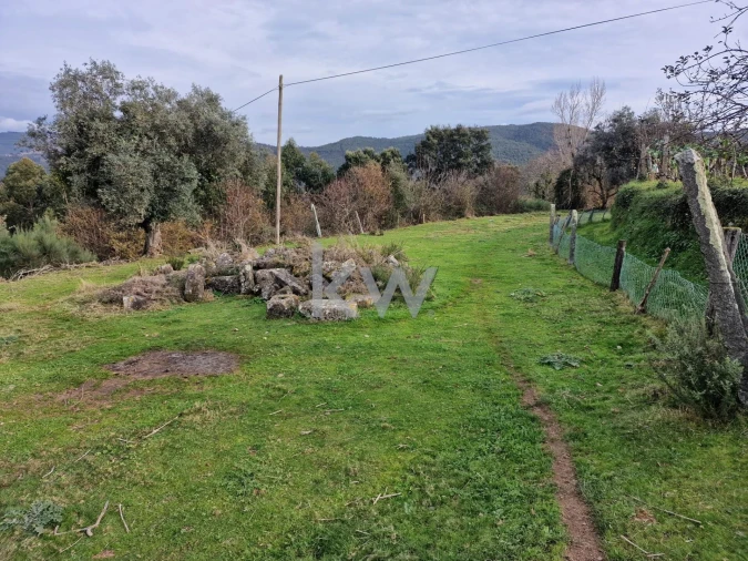 Terreno para Venda em São Miguel do Mato Foto 5