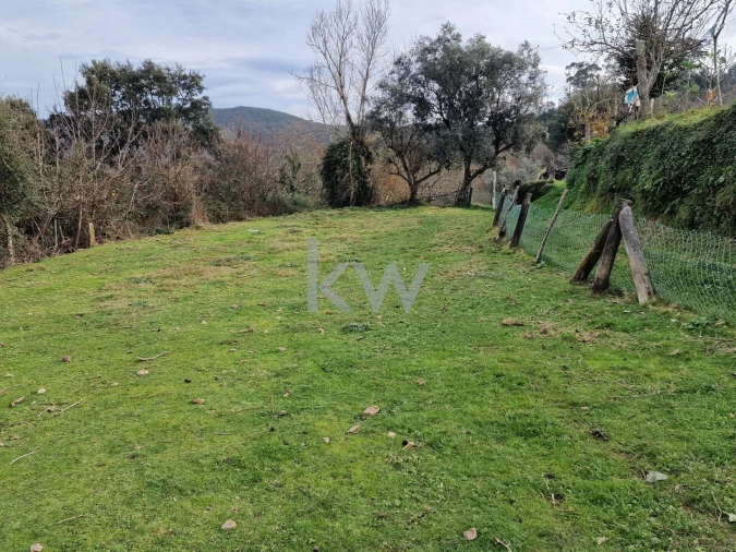 Terreno para Venda em São Miguel do Mato Foto 2