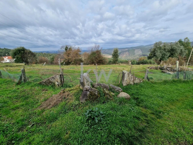 Terreno para Venda em São Miguel do Mato Foto 10