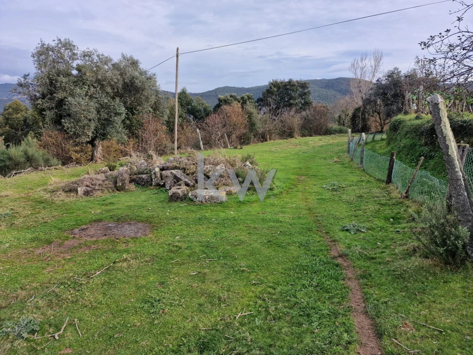 Terreno para Venda em São Miguel do Mato Foto 5