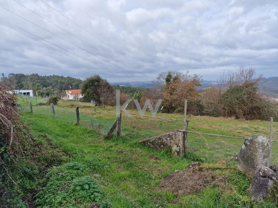 Terreno para Venda em São Miguel do Mato Foto 9