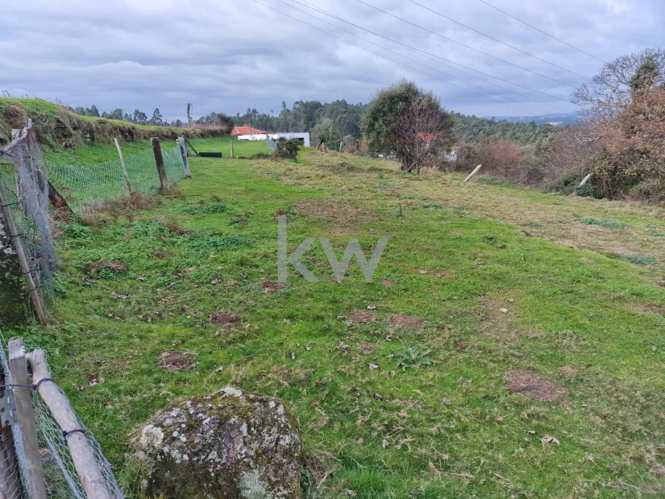 Terreno para Venda em São Miguel do Mato Foto 8