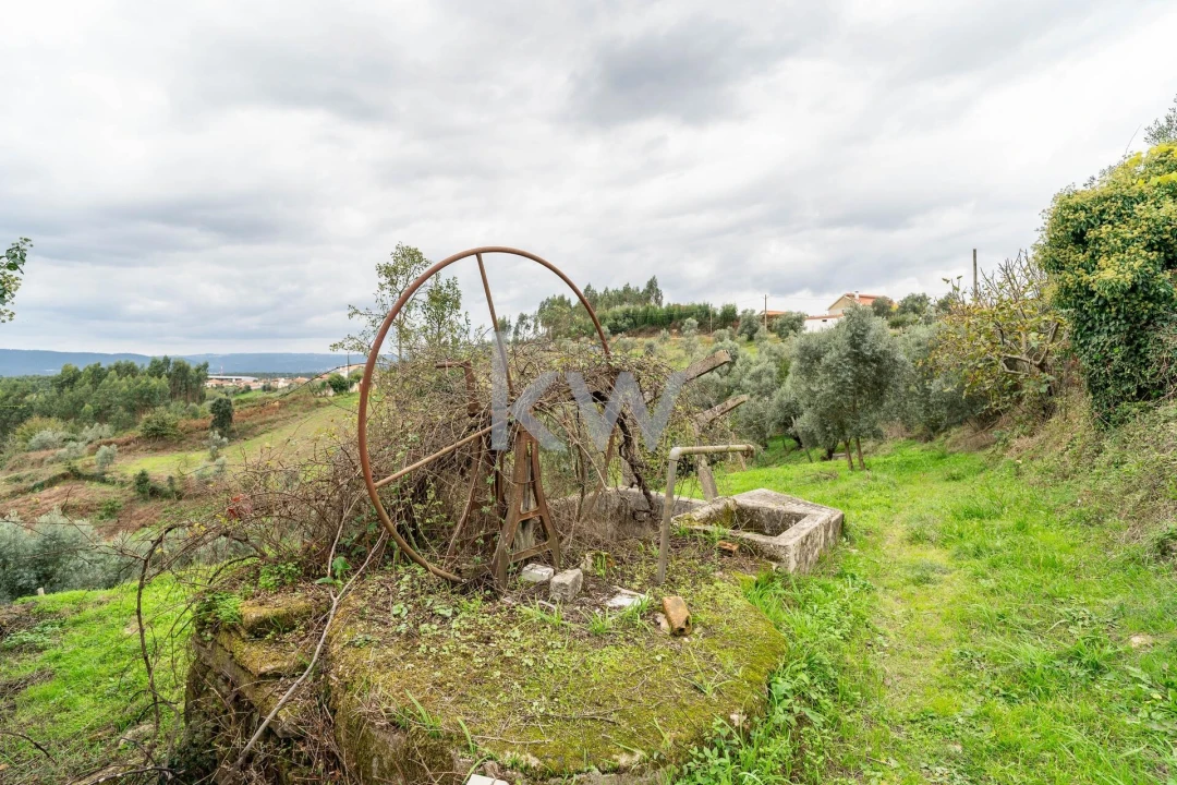 Quinta T2 para Venda em Oliveira do Mondego e Travanca do Mondego Foto 34
