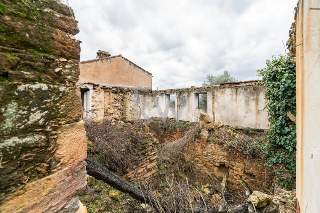 Quinta T2 para Venda em Oliveira do Mondego e Travanca do Mondego Foto 33