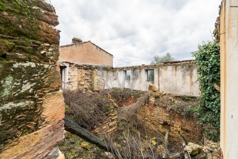 Quinta T2 para Venda em Oliveira do Mondego e Travanca do Mondego Foto 33