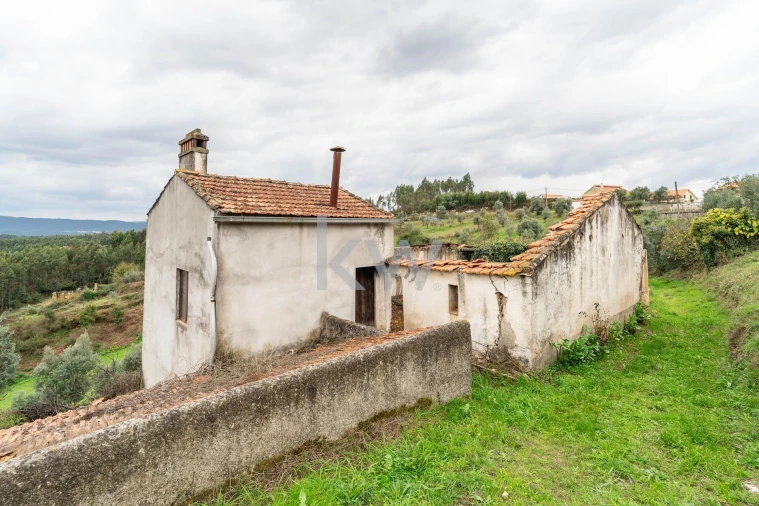 Quinta T2 para Venda em Oliveira do Mondego e Travanca do Mondego Foto 20