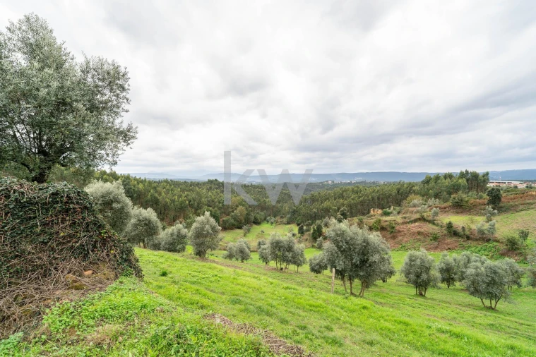 Quinta T2 para Venda em Oliveira do Mondego e Travanca do Mondego Foto 37