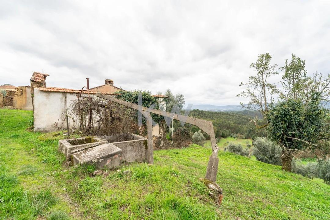 Quinta T2 para Venda em Oliveira do Mondego e Travanca do Mondego Foto 35