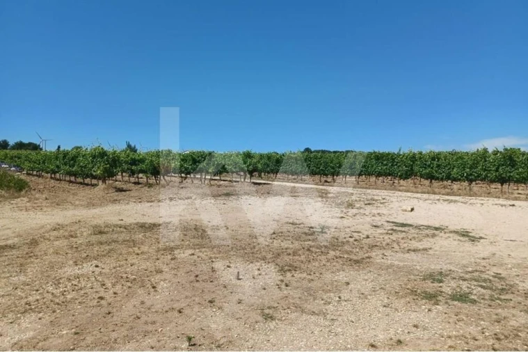 Quinta T4 para Venda em Carvoeira e Carmões Foto 12