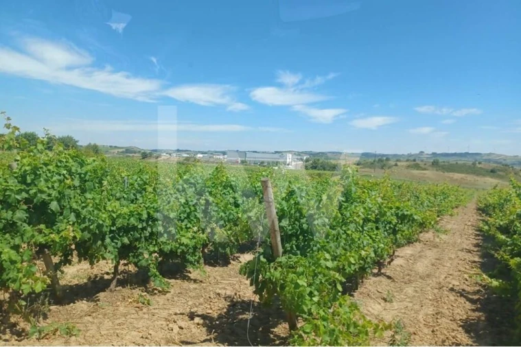 Quinta T4 para Venda em Carvoeira e Carmões Foto 10