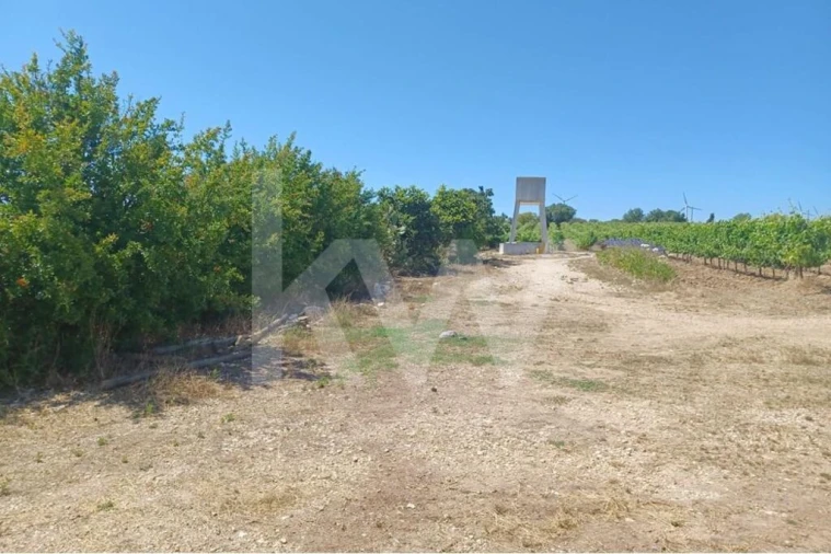 Quinta T4 para Venda em Carvoeira e Carmões Foto 3