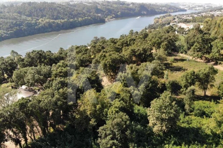 Terreno para Venda em Gondomar (São Cosme), Valbom e Jovim Foto 7