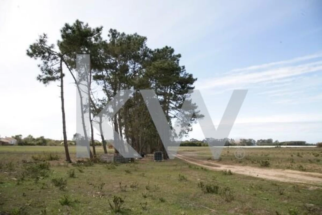 Terreno para Venda em São Teotónio Foto 4