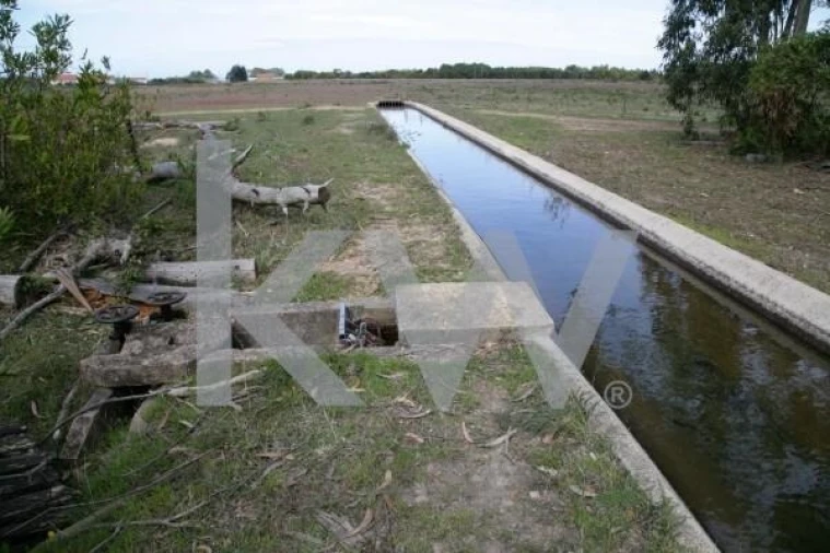 Terreno para Venda em São Teotónio Foto 3
