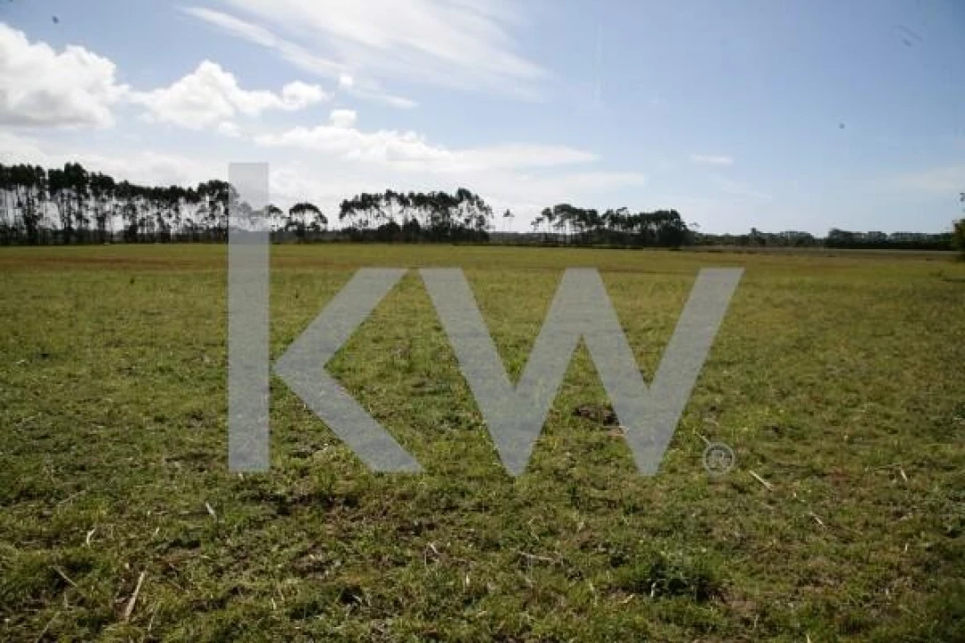 Terreno para Venda em São Teotónio Foto 7