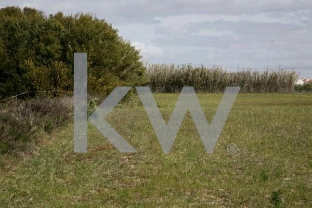 Terreno para Venda em São Teotónio Foto 6