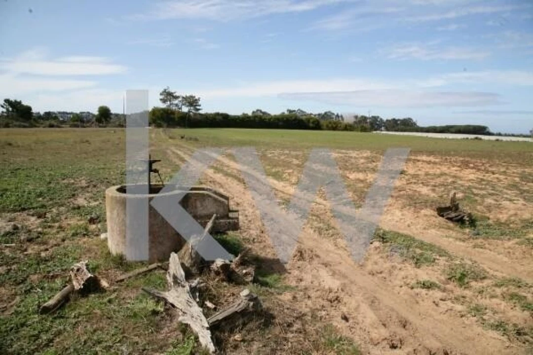 Terreno para Venda em São Teotónio Foto 5