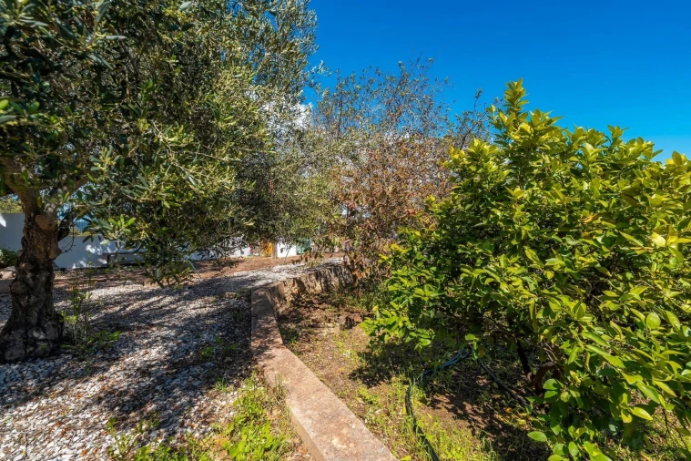 Moradia T4 para Venda em Santa Catarina da Fonte do Bispo Foto 70