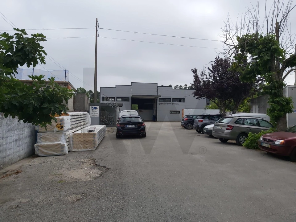 Negócio para Trespasse em Cantanhede e Pocariça Foto 24