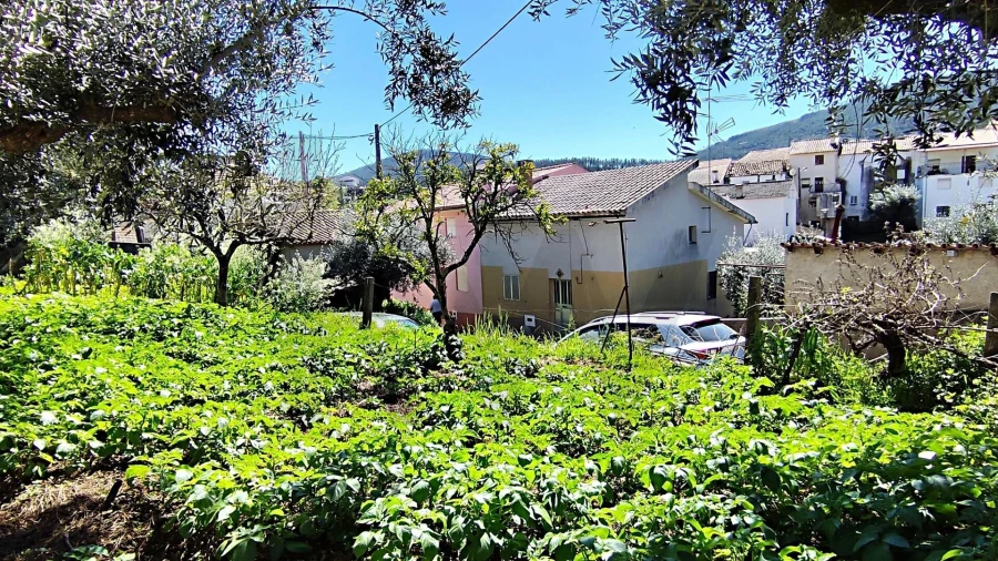 Moradia T3 para Venda em Dornelas do Zezere Foto 38