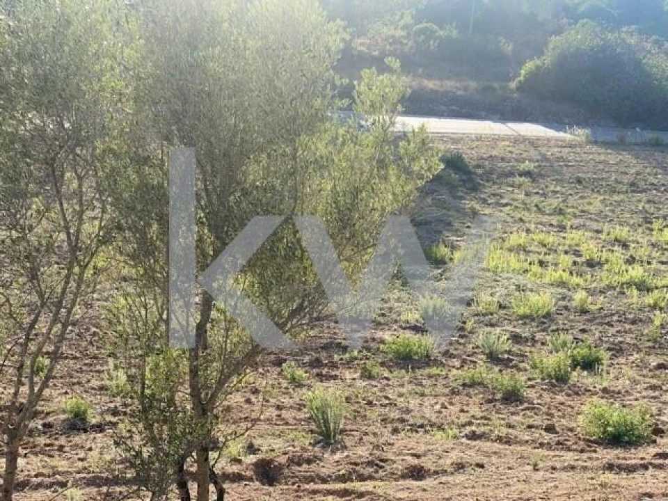 Terreno para Venda em Azoia de Cima e Tremês Foto 34
