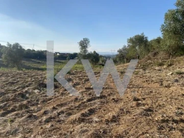 Terreno para Venda em Azoia de Cima e Tremês