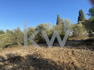Terreno para Venda em Azoia de Cima e Tremês