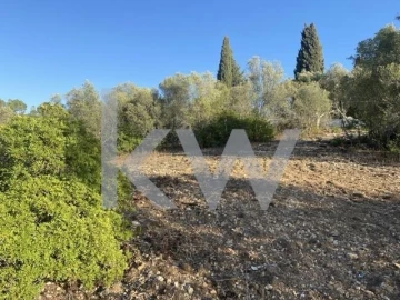 Terreno para Venda em Azoia de Cima e Tremês