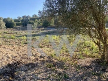 Terreno para Venda em Azoia de Cima e Tremês