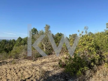 Terreno para Venda em Azoia de Cima e Tremês