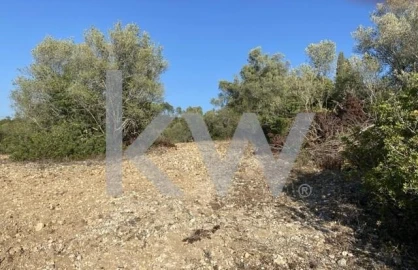 Terreno para Venda em Azoia de Cima e Tremês