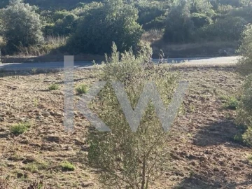 Terreno para Venda em Azoia de Cima e Tremês