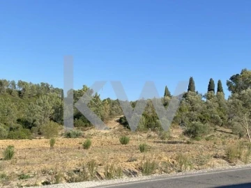 Terreno para Venda em Azoia de Cima e Tremês