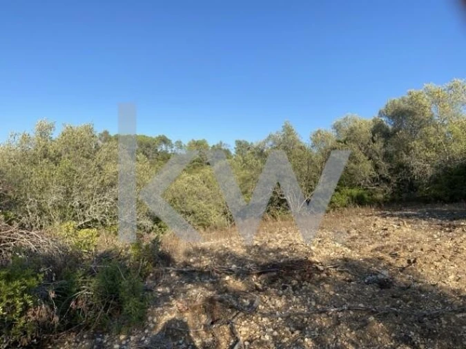 Terreno para Venda em Azoia de Cima e Tremês Foto 18
