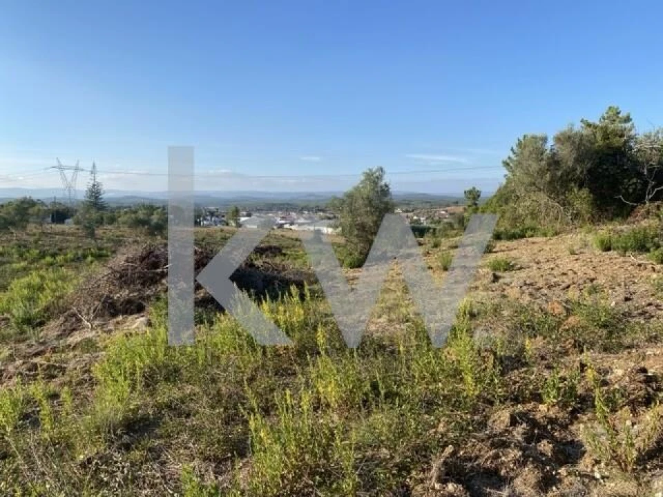Terreno para Venda em Azoia de Cima e Tremês Foto 24