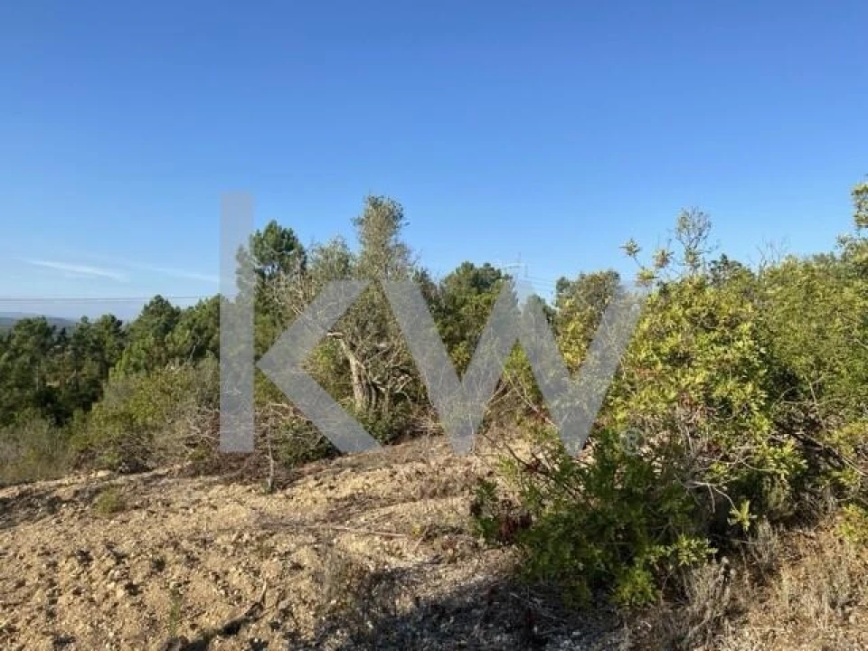 Terreno para Venda em Azoia de Cima e Tremês Foto 2