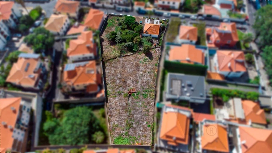 Terreno para Venda em Funchal (Santa Luzia) Foto 7