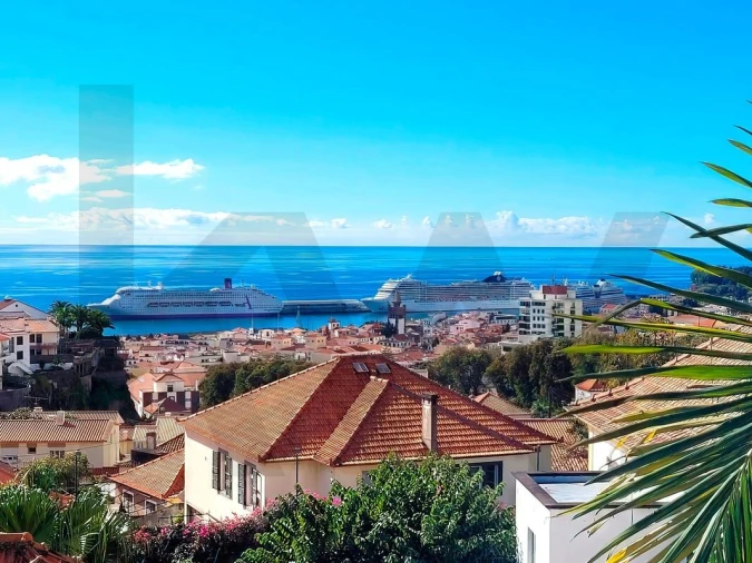 Terreno para Venda em Funchal (Santa Luzia) Foto 11