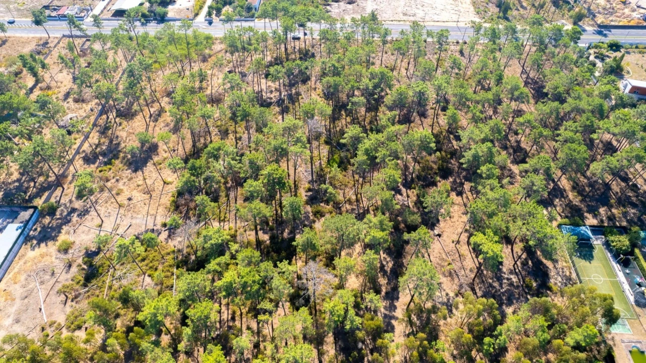 Terreno para Venda em Corroios Foto 4