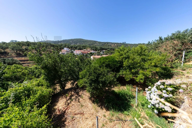 Moradia T3 para Venda em Monchique Foto 8