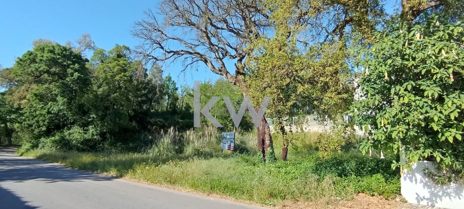 Terreno para Venda em Travassô e Óis da Ribeira Foto 5